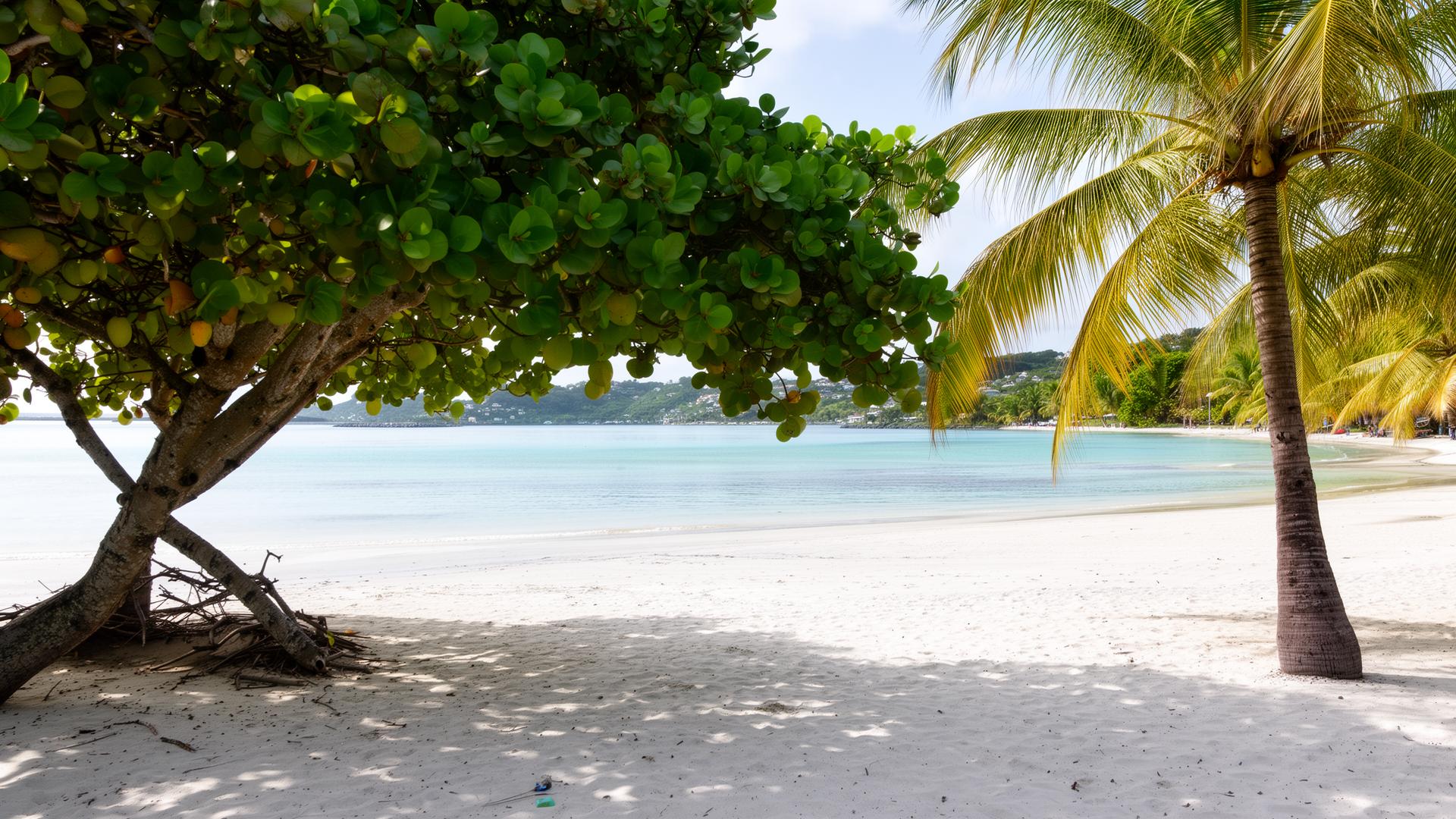 Plage des Raisins Clairs